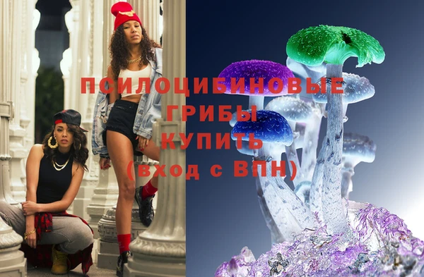 ECSTASY Костерёво