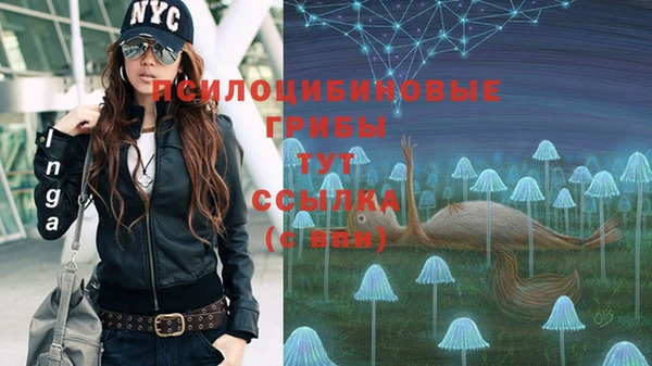 кристаллы Корсаков