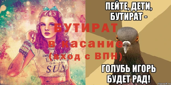 трава Коряжма
