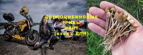 ECSTASY Костерёво