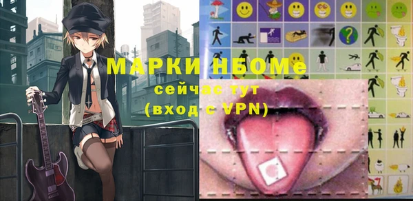 трава Коряжма