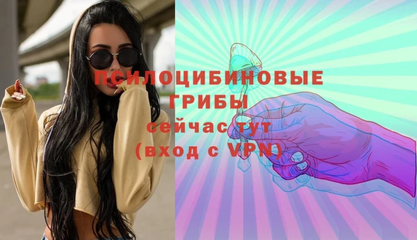 трава Коряжма
