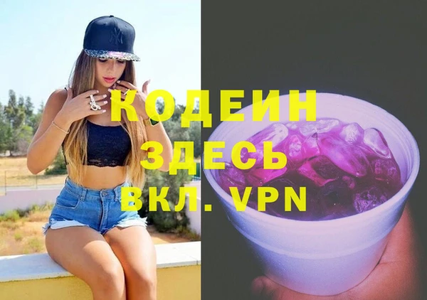 трава Коряжма