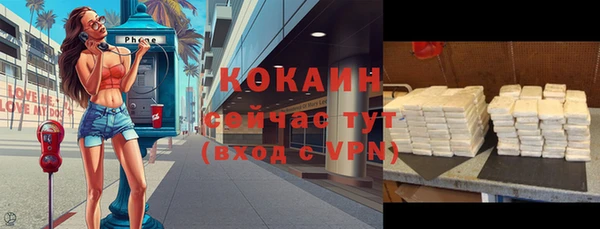 трава Коряжма