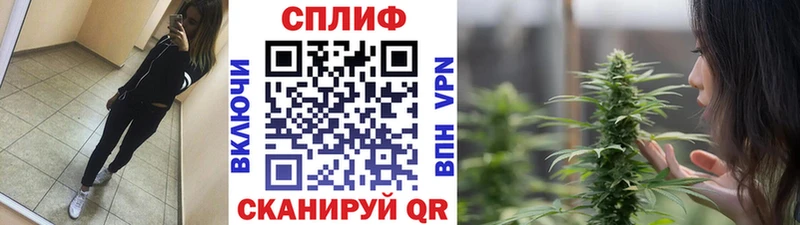 Конопля MAZAR  Купить где  Малаховка 
